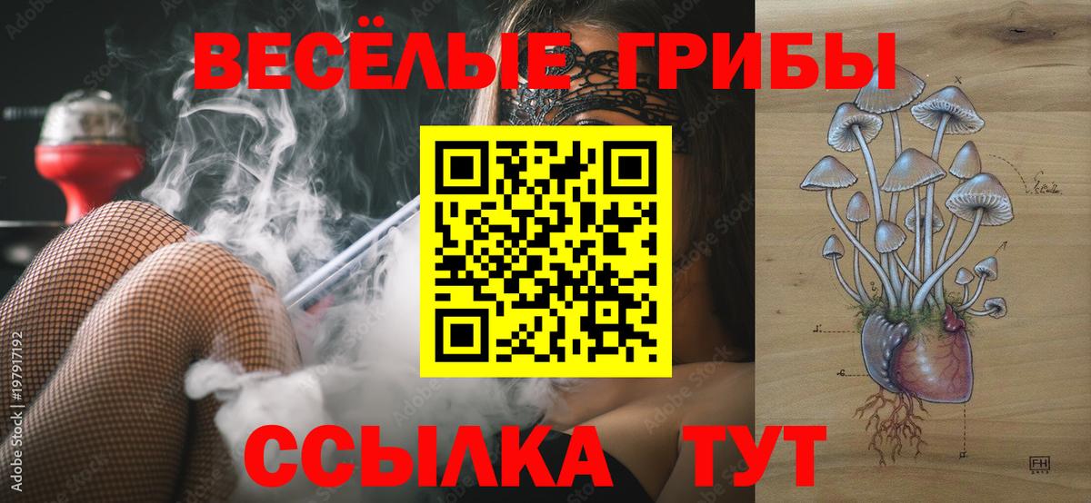 Псилоцибиновые грибы Psilocybe  Вход с VPN  Реутов 